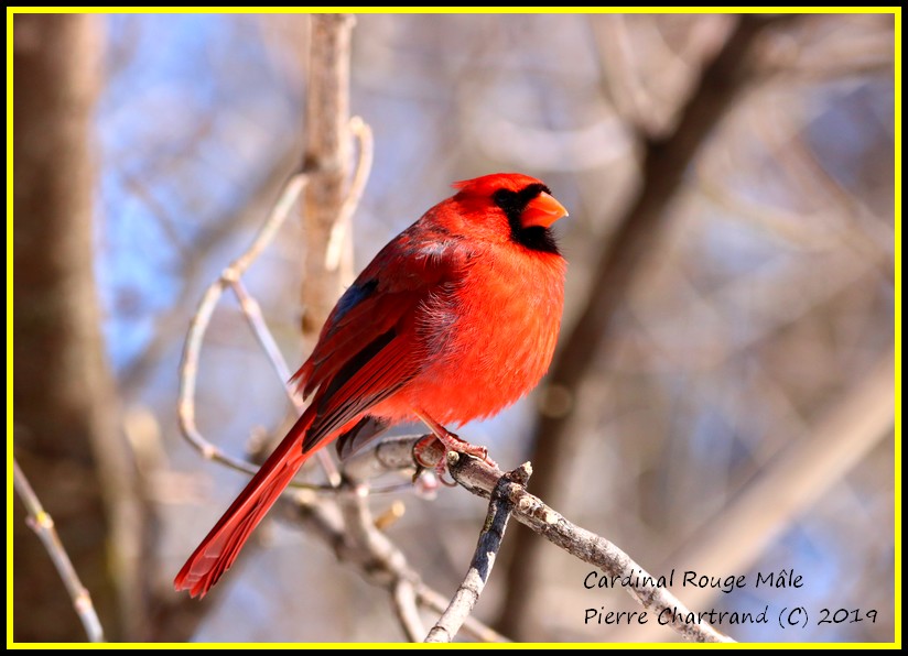 Samedi Midi ,Arboretum Stephen Langevin Cardin43