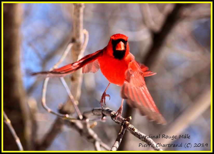 Samedi Midi ,Arboretum Stephen Langevin Cardin46