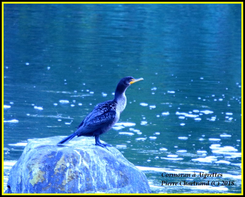Anjou sur le Lac Cormor16