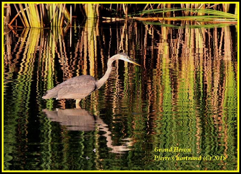 Anjou sur le Lac Grand_15