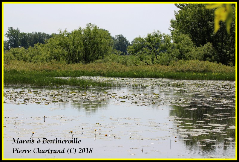 Hier dans Lanaudière Marais13