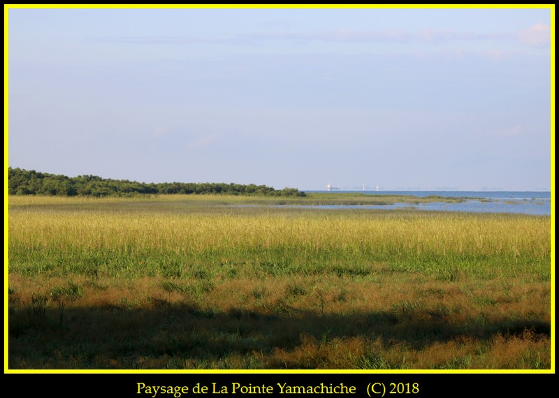 Cet Avant-Midi a La Pointe Yamachiche  Paysag10