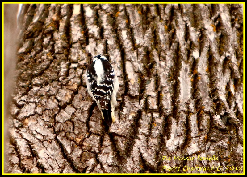 Au Jardin Botanique Pic_mi10