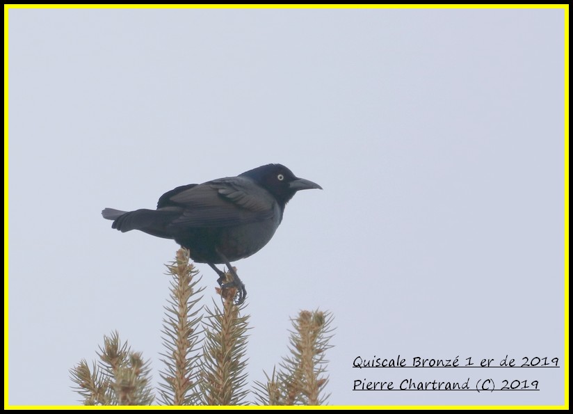 Sortie dans Lanaudière Quisca14