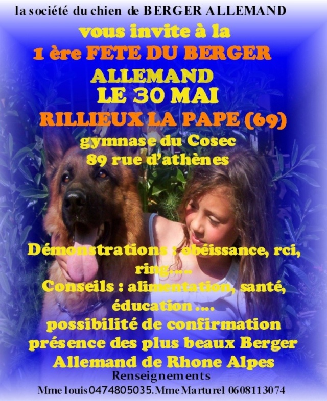 Le berger allemand un chien magnifique Fetedu10