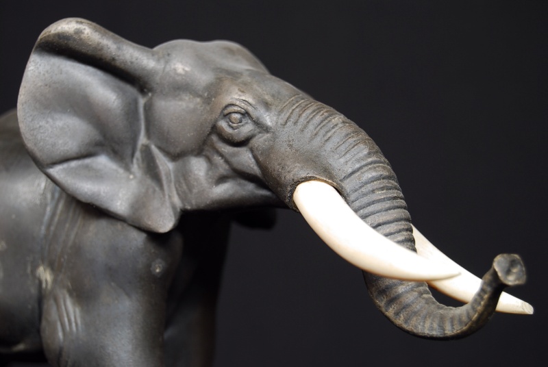 Eléphant aux défenses d'ivoire
