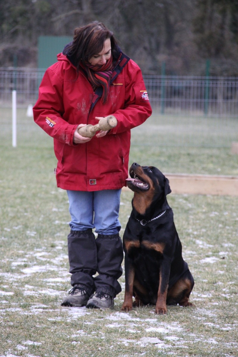 Portée de Rottweiler : Bonny  & Burning des Princes d'Aragones Img_0411