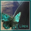 To live, a butterfly needs... Icon-l10