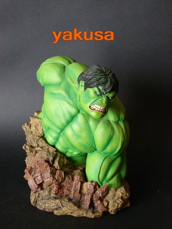 Collection n°04: le bazar de yakusa Dsc00722