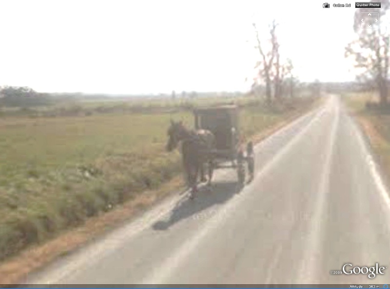 STREET VIEW : à la découverte des Amishs Amish310