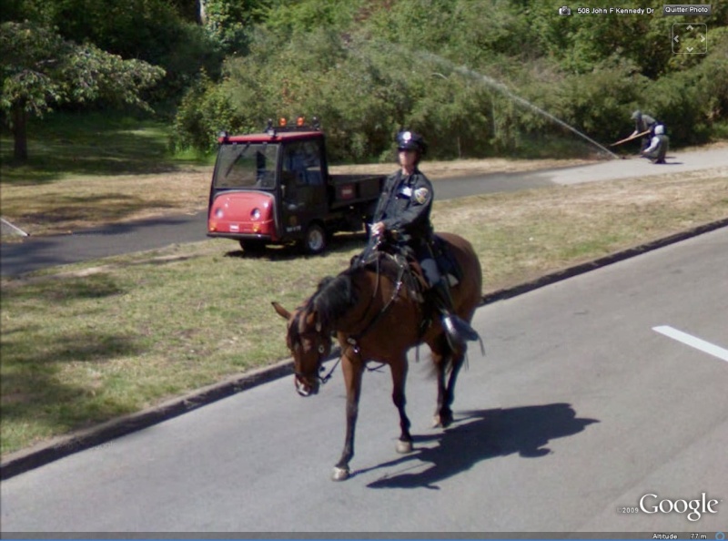 STREET VIEW : véhicules de police du monde - Page 5 Cheval11