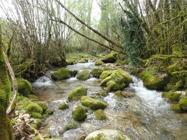 ruisseau - Ruisseau toujours P4080011