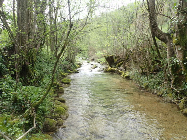 ruisseau - Ruisseau toujours P4080022