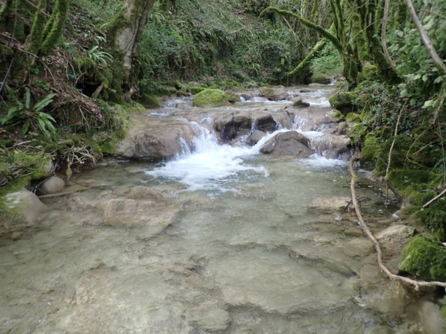 ruisseau - Ruisseau toujours P4080033