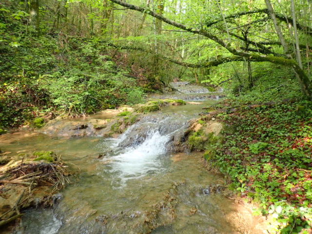 Un petit ruisseau ce dimanche P5020040