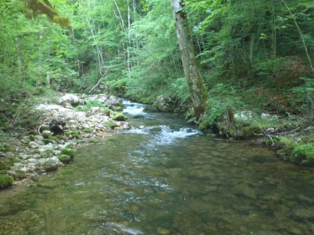 Un petit tour dans le Jura P5070010