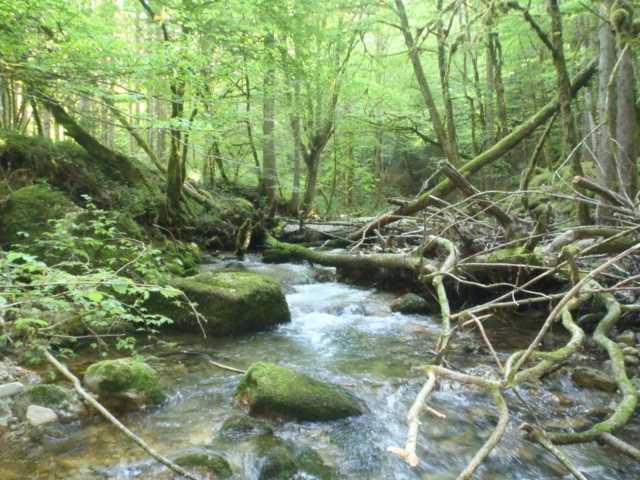 Un petit tour dans le Jura P5070014