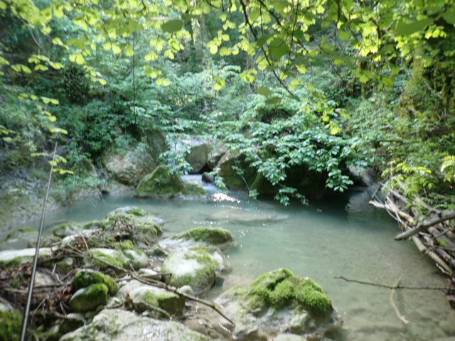 Dimanche matin en petite rivière P5080033