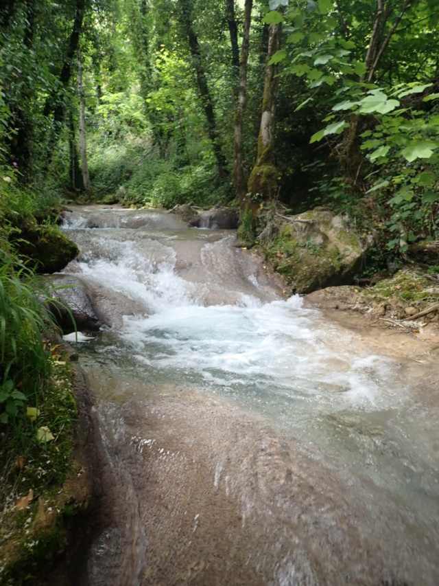 ruisseau - Ruisseau calcaire P5160011