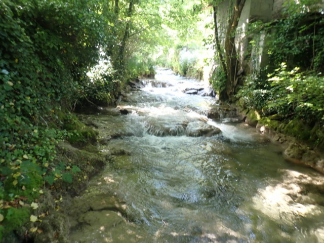 ruisseau - Ruisseau calcaire P5160031