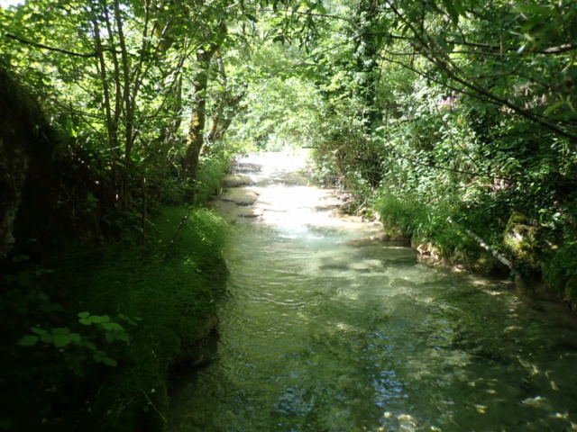 ruisseau - Ruisseau calcaire P5160033