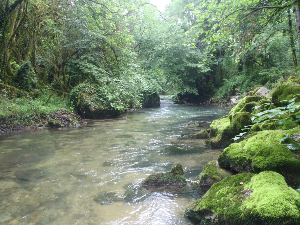 Un petit tour en rivière P6140025