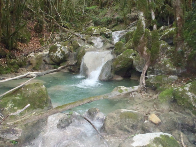Ruisseau calcaire  P7080111
