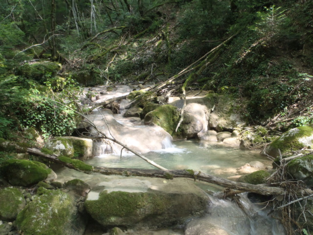Ruisseau calcaire  P7080128