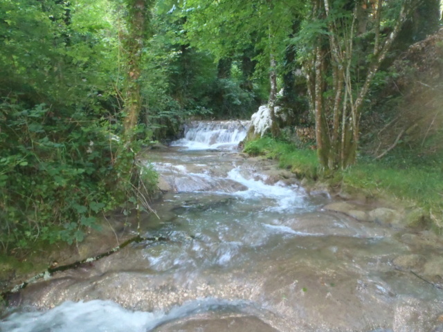 Ruisseau calcaire P7220014