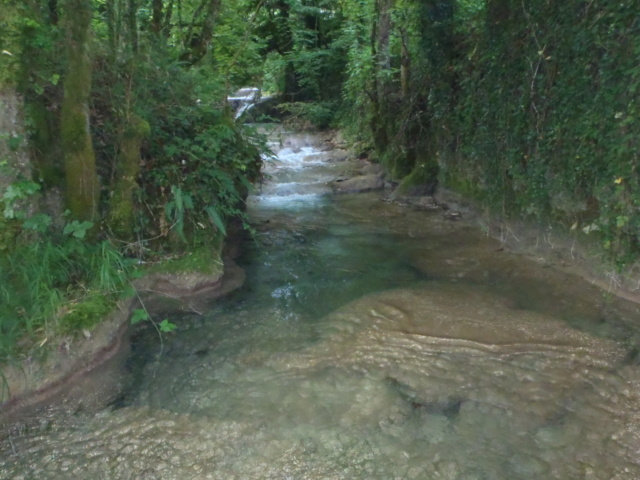 Ruisseau calcaire P7220015