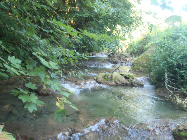Ruisseau calcaire P7220025
