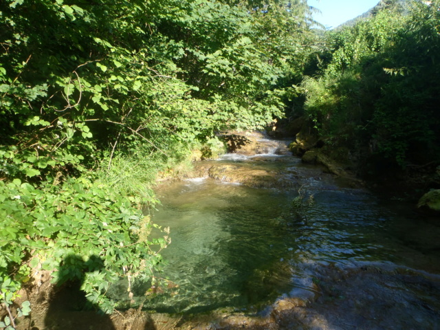 Ruisseau calcaire P7220026