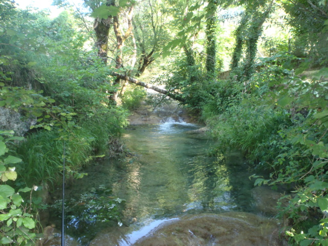 Ruisseau calcaire P7220032