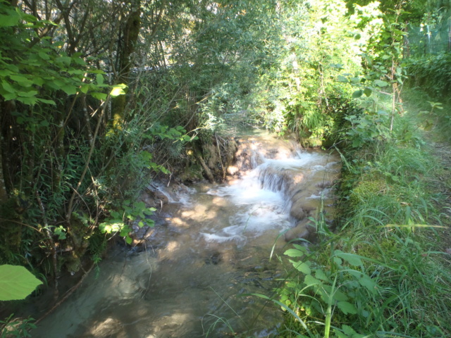Ruisseau calcaire P7220033