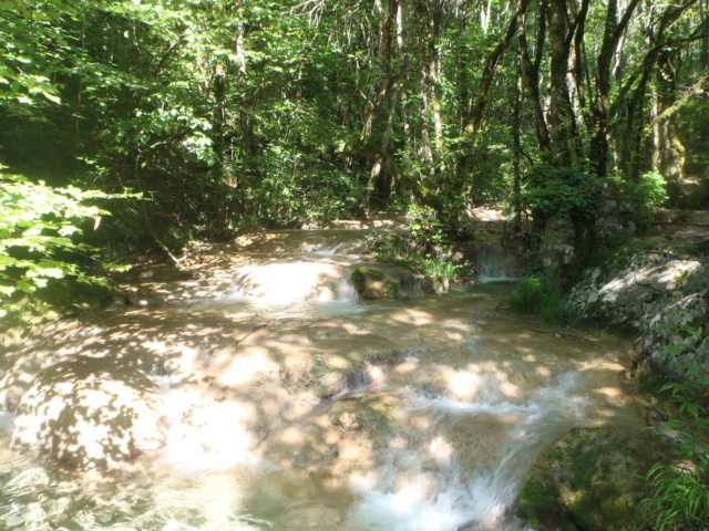 Ruisseau calcaire P7220041