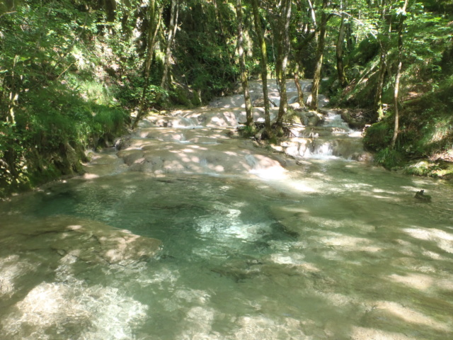 Ruisseau calcaire P7220042