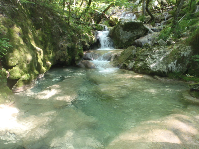 Ruisseau calcaire P7220044