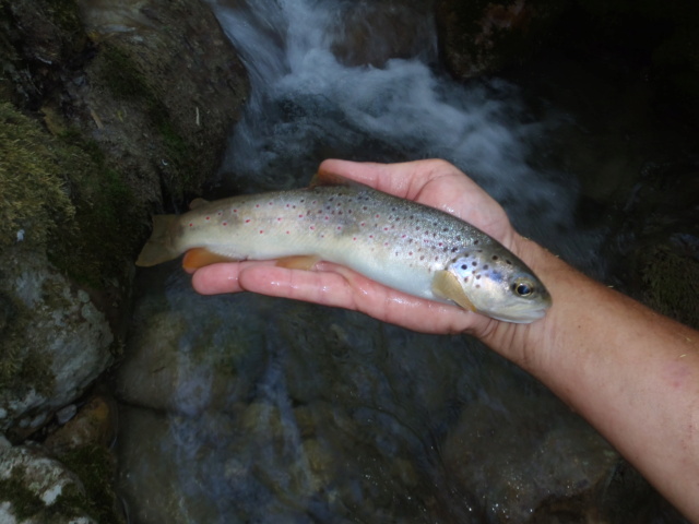 Enfin un peu de pêche P7230148