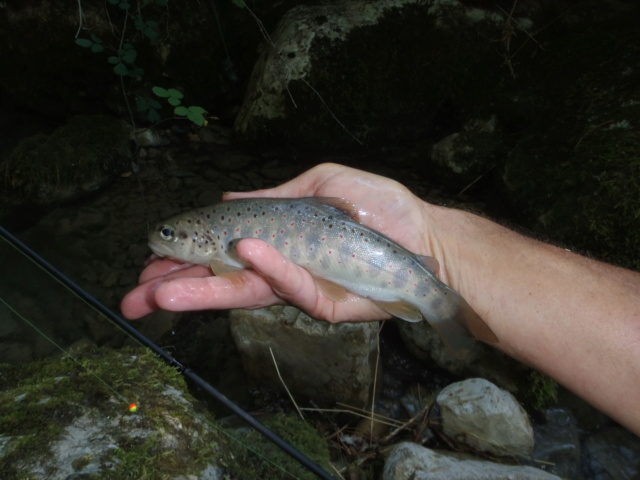 Enfin un peu de pêche P7230151