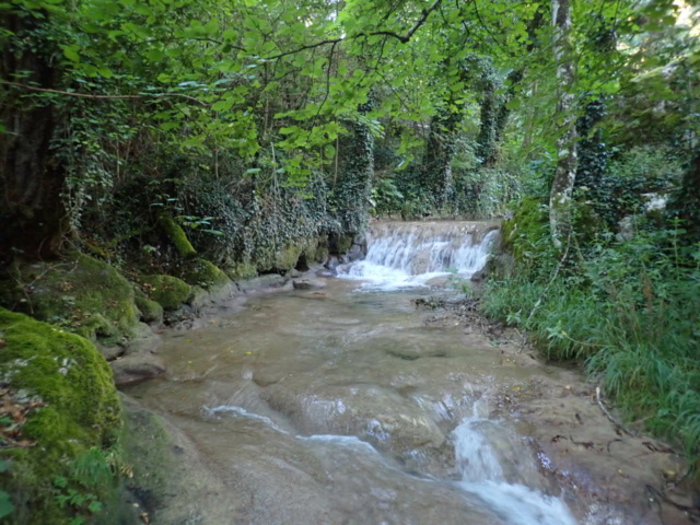 ruisseau - Ruisseau calcaire P7270048
