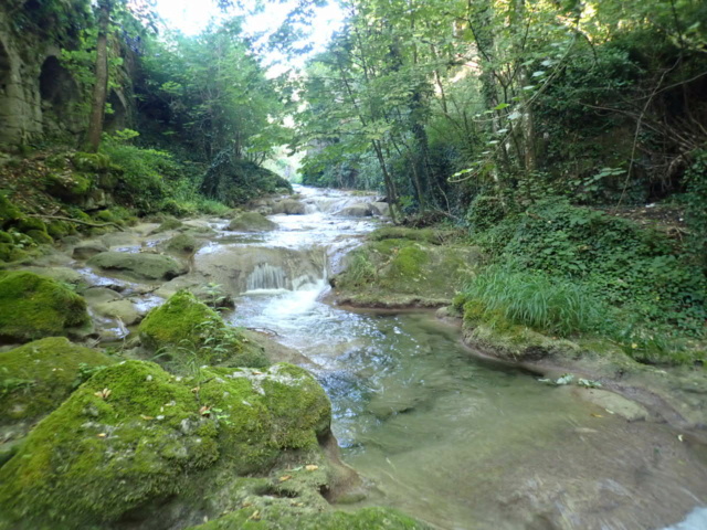ruisseau - Ruisseau calcaire P7270050