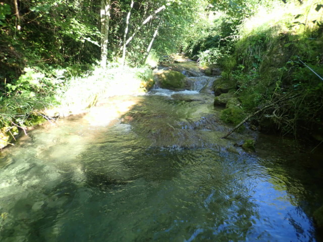 ruisseau - Ruisseau calcaire P7270059
