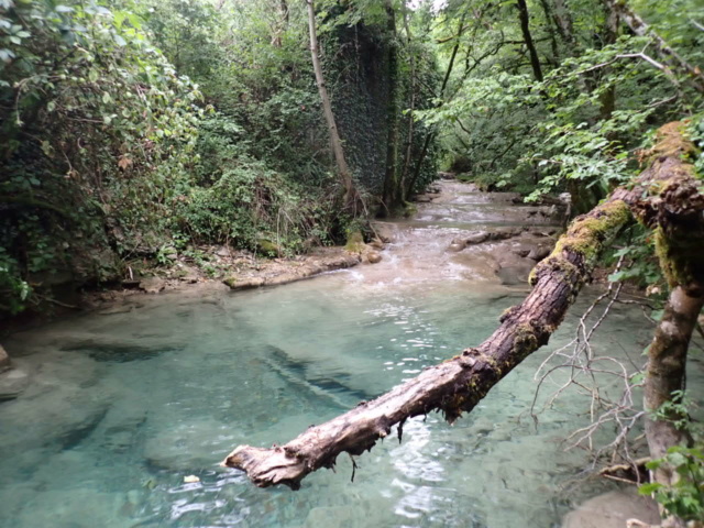 ruisseau - Ruisseau calcaire suite P8150012