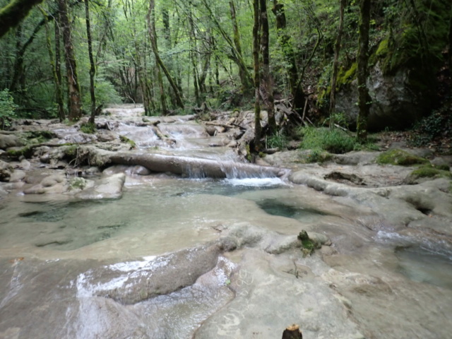 ruisseau - Ruisseau calcaire suite P8150024