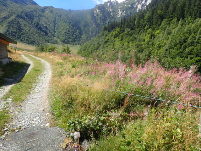 De retour en Savoie P8220134