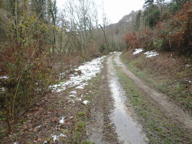 Après la neige la pluie Pc140030