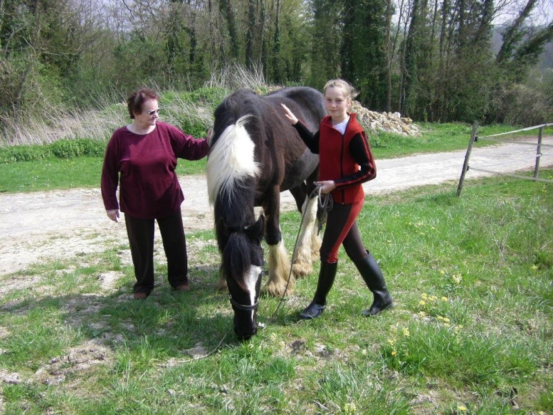 Legend se remet au travail ! On continue suite ! Imgp2914