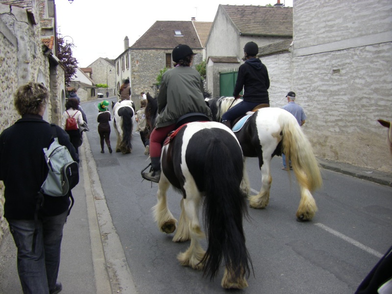 MEETING IRISH COB DE L'ESSONNES (91) - Page 7 Imgp3126