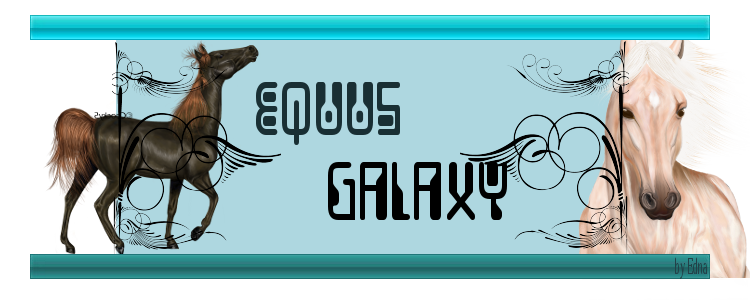 Equus Galaxy - Forum sur les chevaux & les joueurs d'Equideow Equus_10