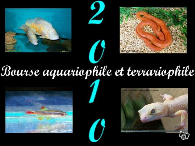 Bourse aquariophile et terrariophile 08858410